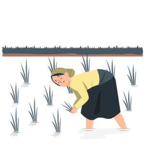 組織づくりと人材育成のことなら、実績あるファシリテーターにお任せを。自走型組織、自律型組織への組織変革、組織開発、チームビルディング、リーダー育成、社員教育、会議・ミーティングの活性化をプロのファシリテーションの技術で実現します。心理的安全性を向上させ、社員の主体性とやる気を引き出し、持続的に発展する強い組織づくりを伴走支援します。神戸を拠点に関西、東海、岐阜県、全国で対面・オンラインでの研修に対応しています。